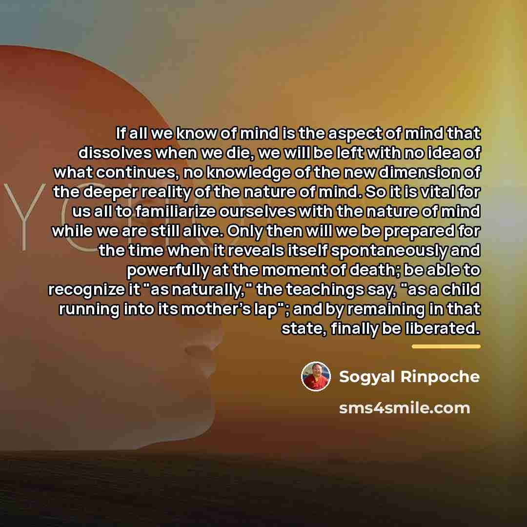 “If all we know of mind is the aspect of…” quote by Sogyal Rinpoche