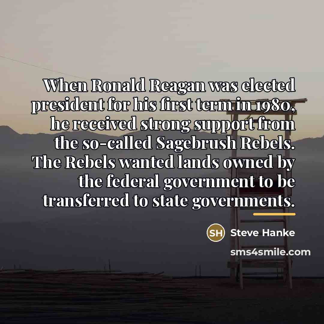 “When Ronald Reagan was elected president for his first term…” quote by Steve Hanke