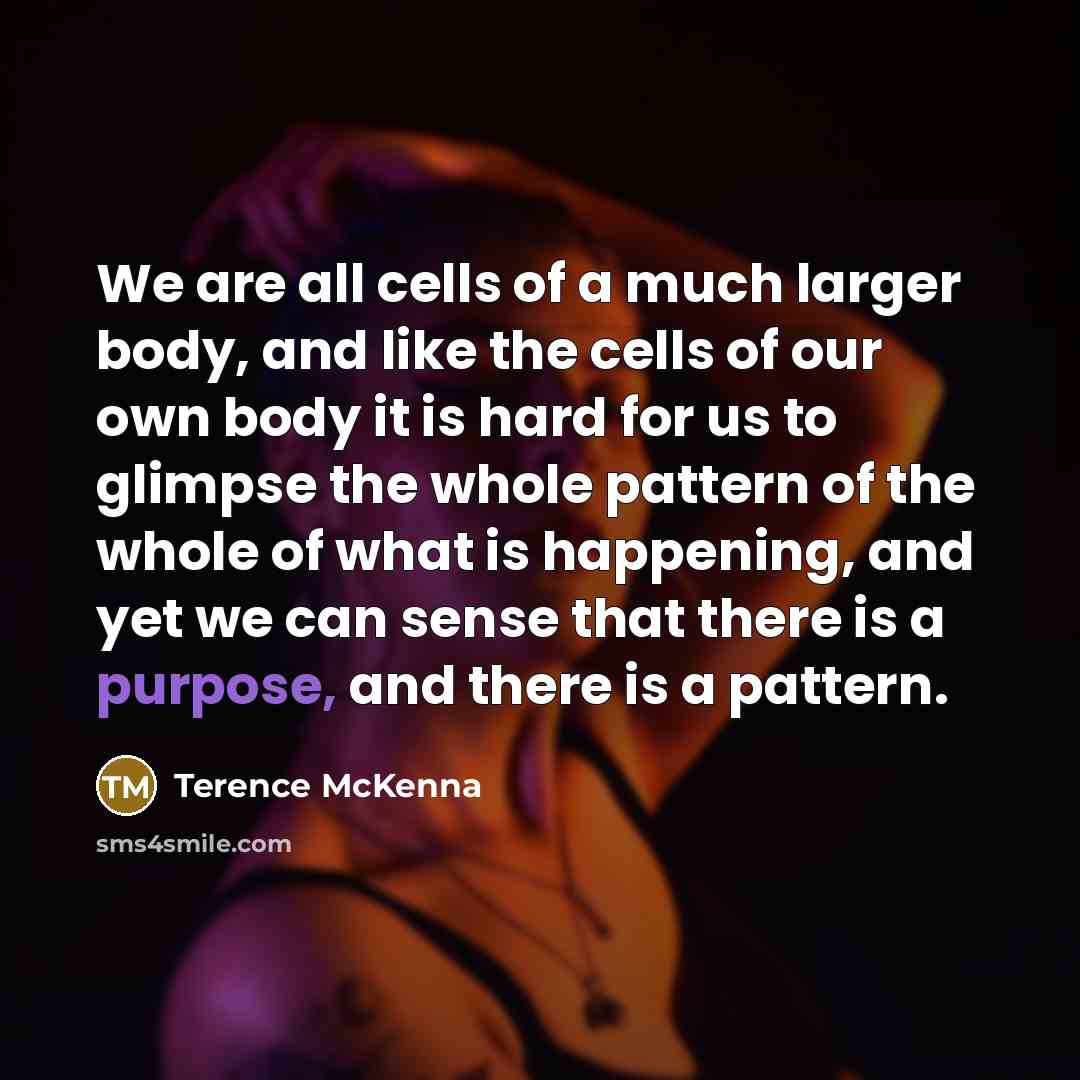 “We are all cells of a much larger body, and…” quote by Terence McKenna