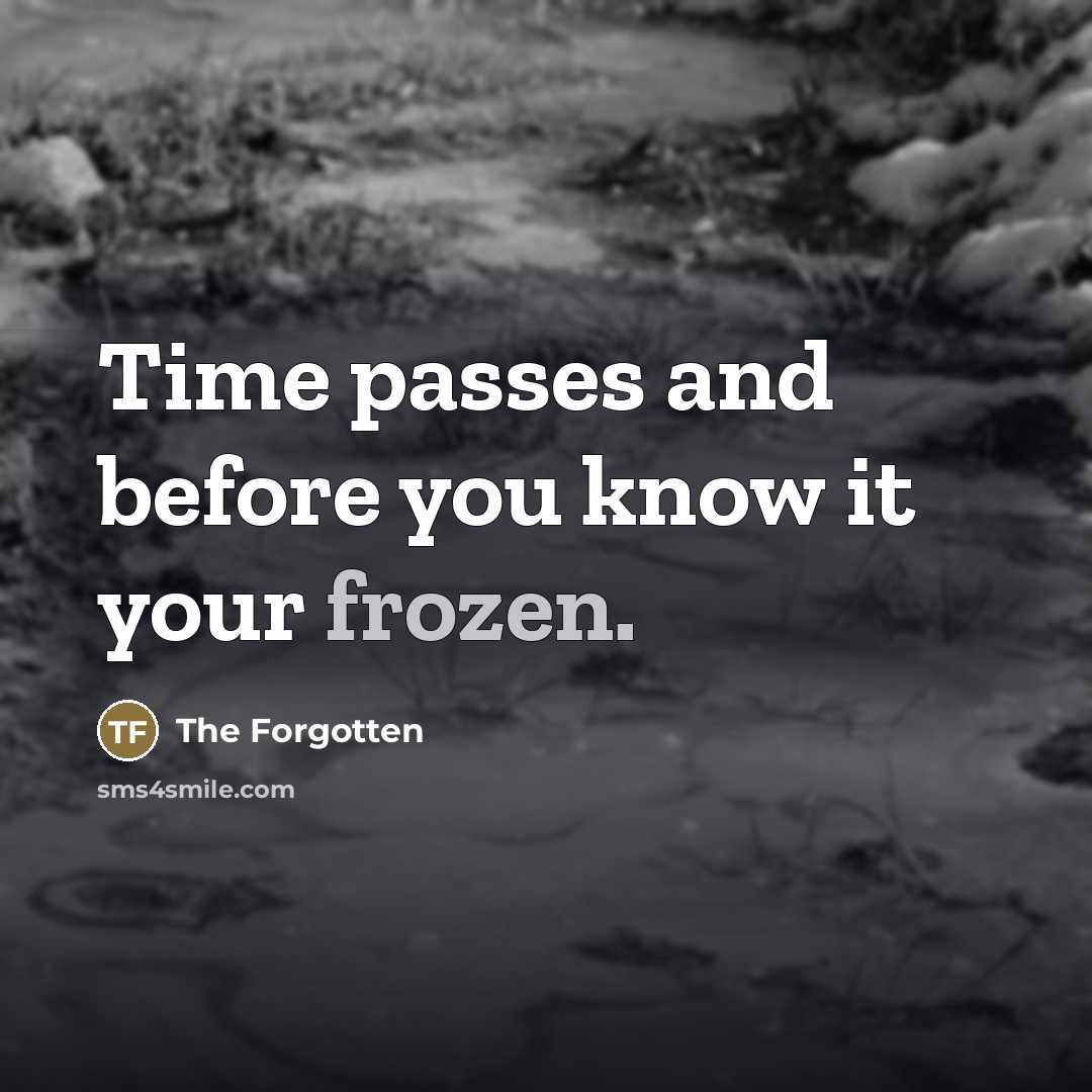 “Time passes and before you know it your frozen.…” quote by The Forgotten