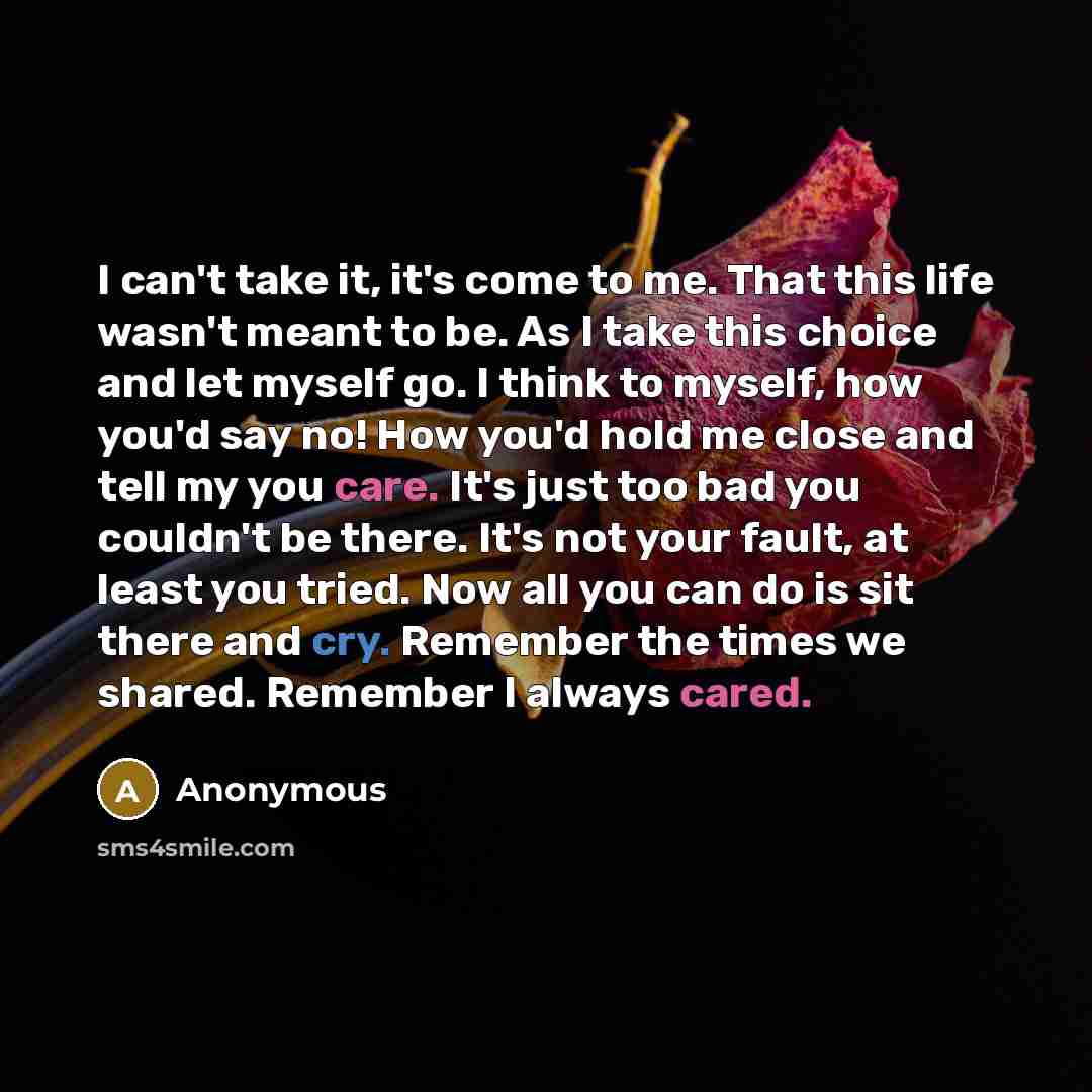 “I can't take it, it's come to me. That this life wasn't meant to be. As I take this choice and let myself go. I think to myself, how you'd say no! How you'd hold me close and tell my you care. It's just too bad you couldn't be there. It's not your fault, at least you tried. Now all you can do is…” quote by Anonymous