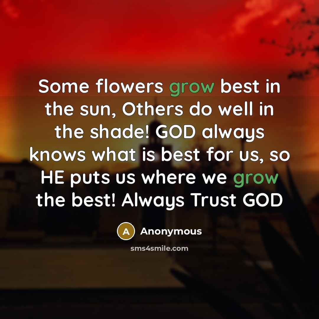 “Some flowers grow best in the sun, Others do well…” quote by Anonymous
