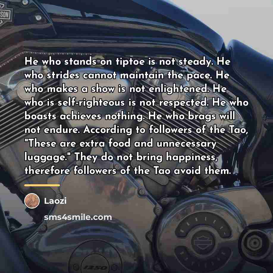 “He who stands on tiptoe is not steady. He who…” quote by Laozi