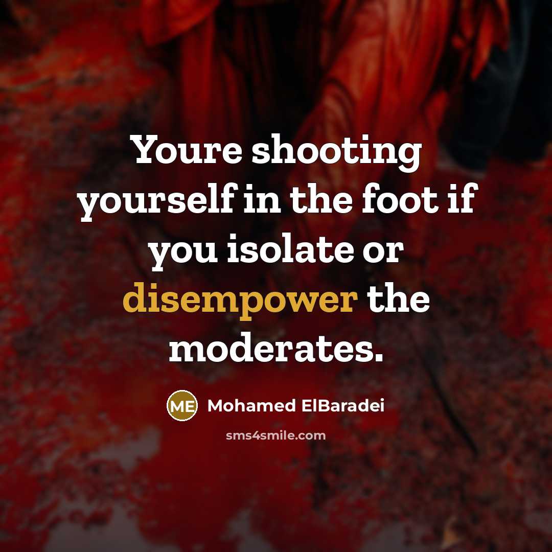 “Youre shooting yourself in the foot if you isolate or…” quote by Mohamed ElBaradei