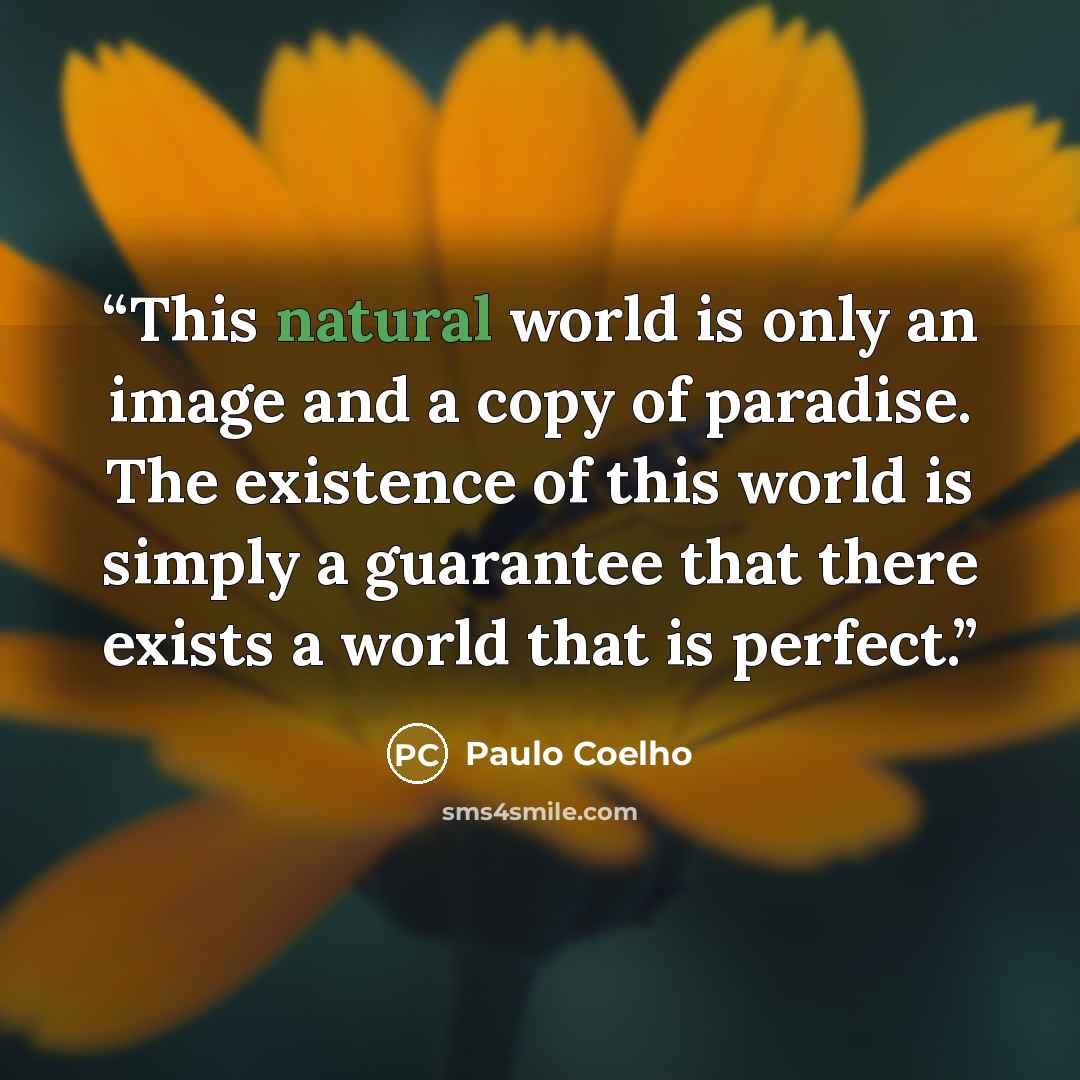 “This natural world is only an image and a copy of paradise. The existence of this world is simply a guarantee that there exists a world that is perfect.” quote by Paulo Coelho