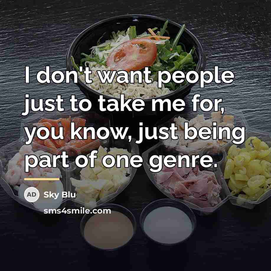 “I don't want people just to take me for, you…” quote by Sky Blu