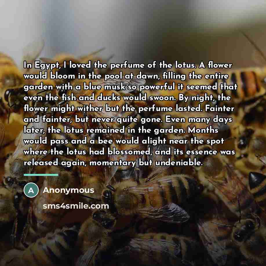 “In Egypt, I loved the perfume of the lotus. A…” quote by Anonymous