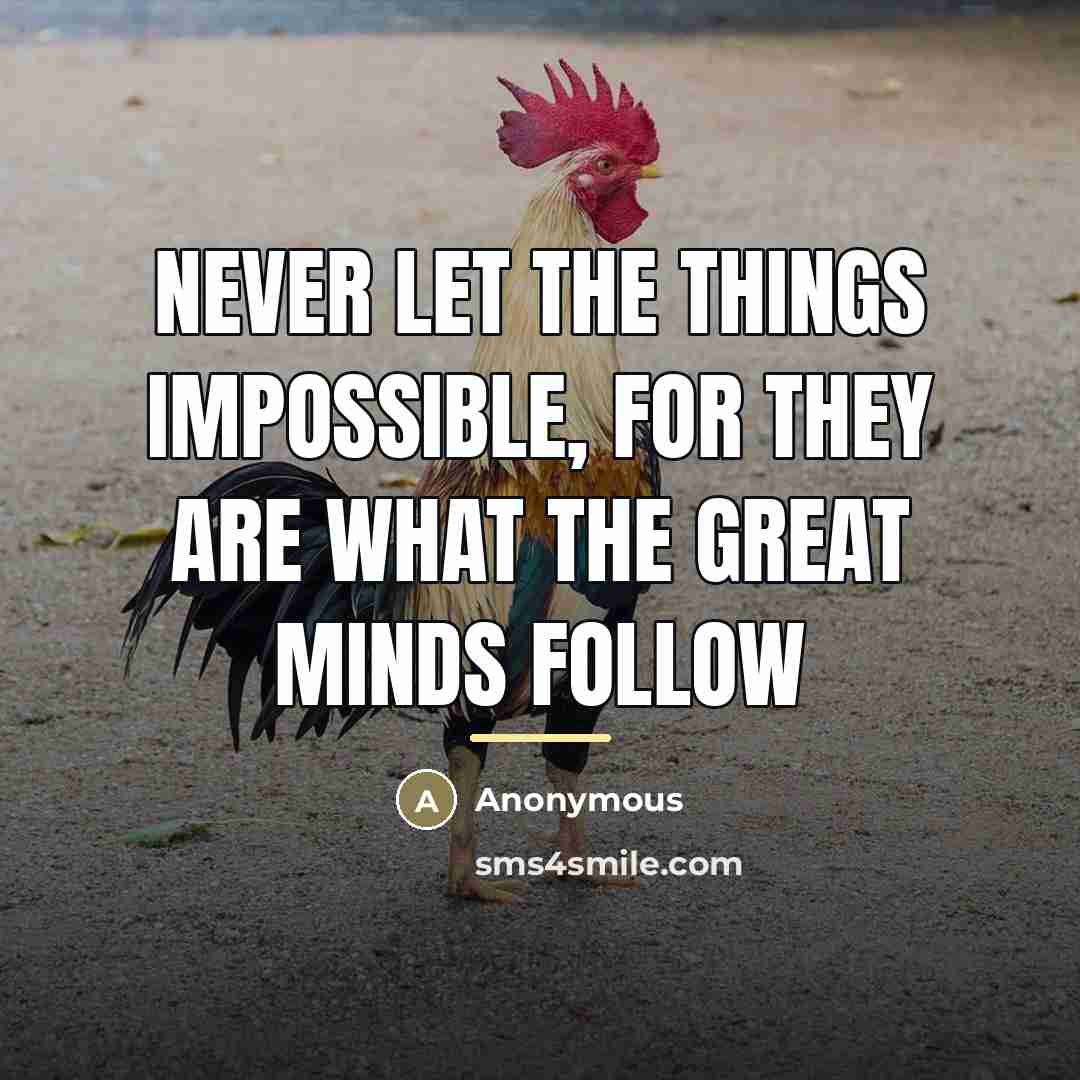 “Never let the things impossible, for they are what the…” quote by Bhat Javed