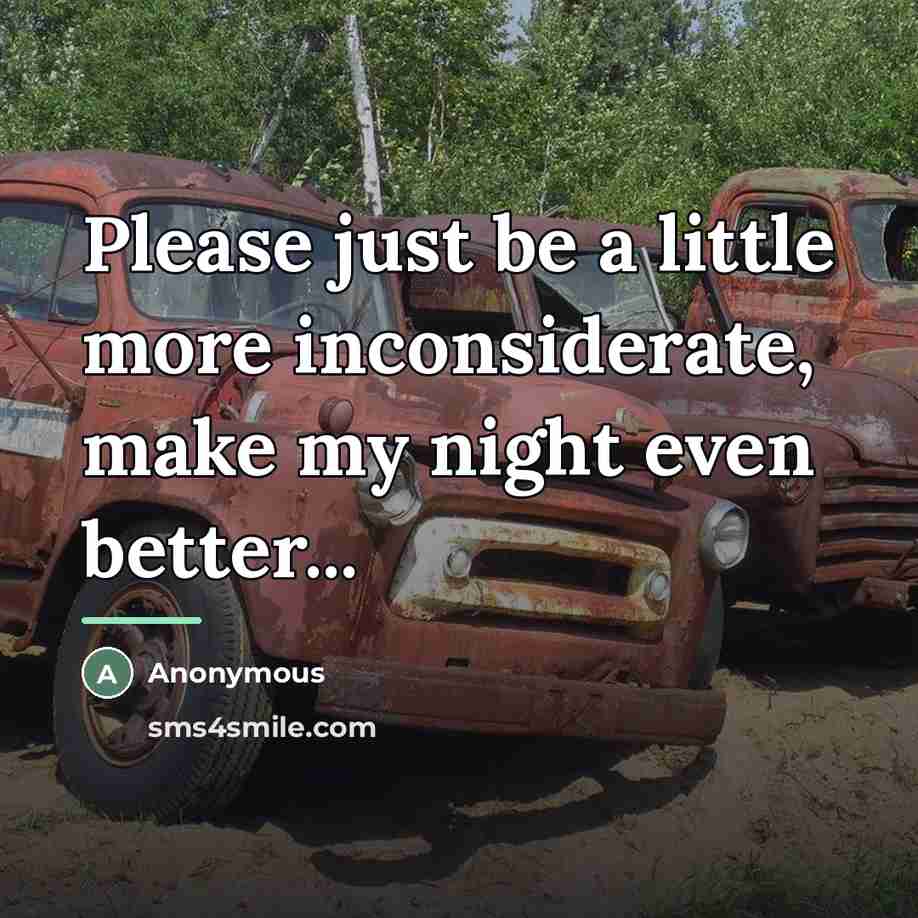 “Please just be a little more inconsiderate, make my night…” quote by Anonymous