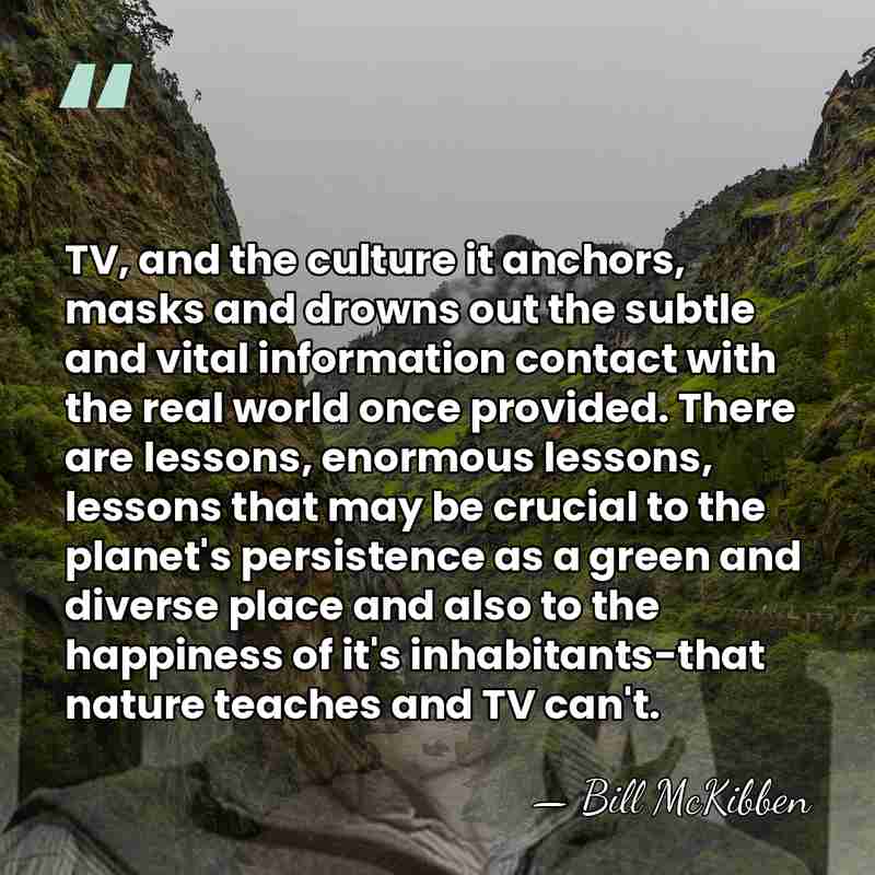 TV, and the culture it anchors, masks and drowns out the subtle&hellip; - Bill McKibben