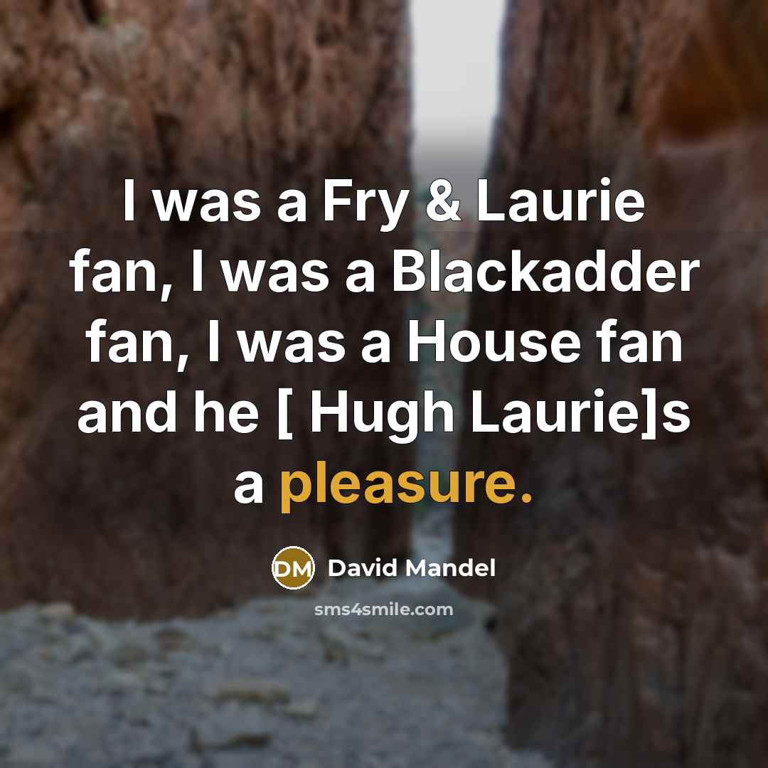 “I was a Fry & Laurie fan, I was a…” quote by David Mandel