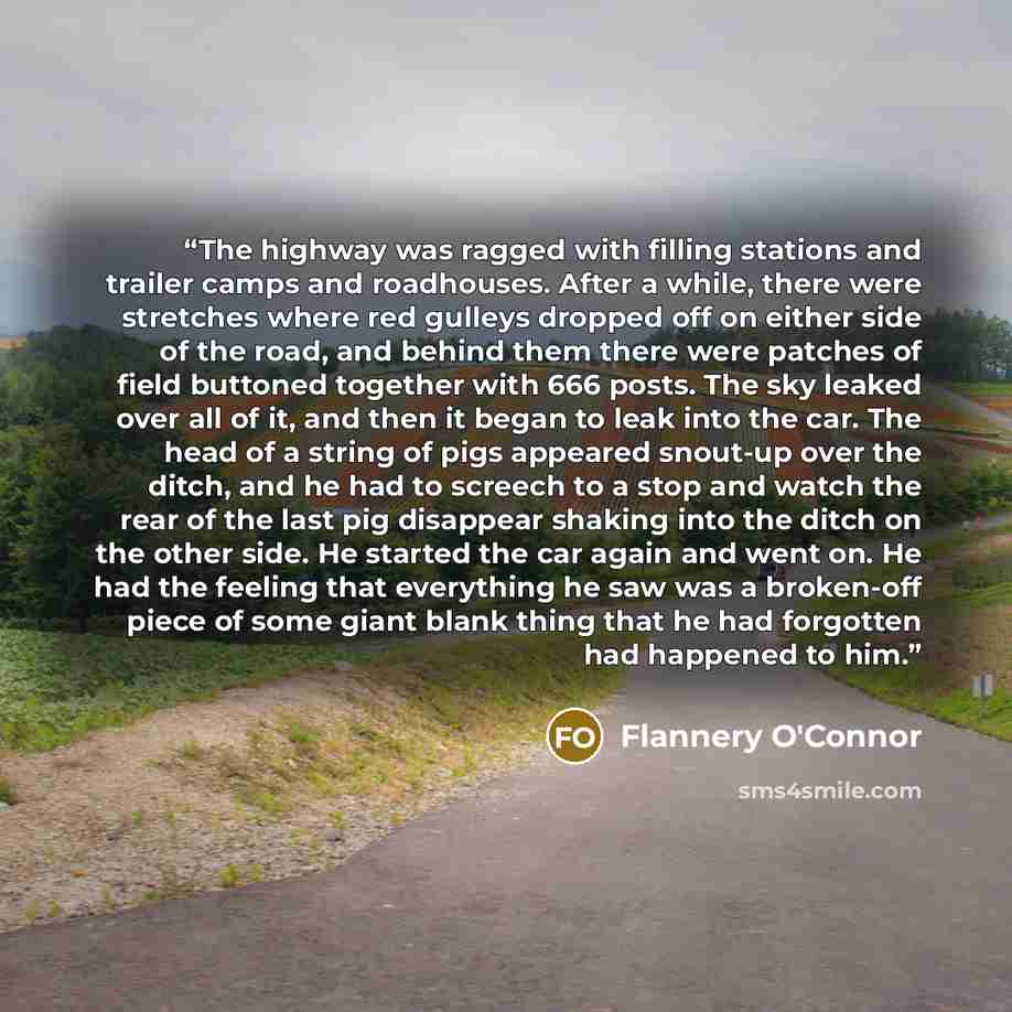 “The highway was ragged with filling stations and trailer camps and roadhouses. After a while, there were stretches where red gulleys dropped off on either side of the road, and behind them there were patches of field buttoned together with 666 posts. The sky leaked over all of it, and then it…” quote by Flannery O'Connor