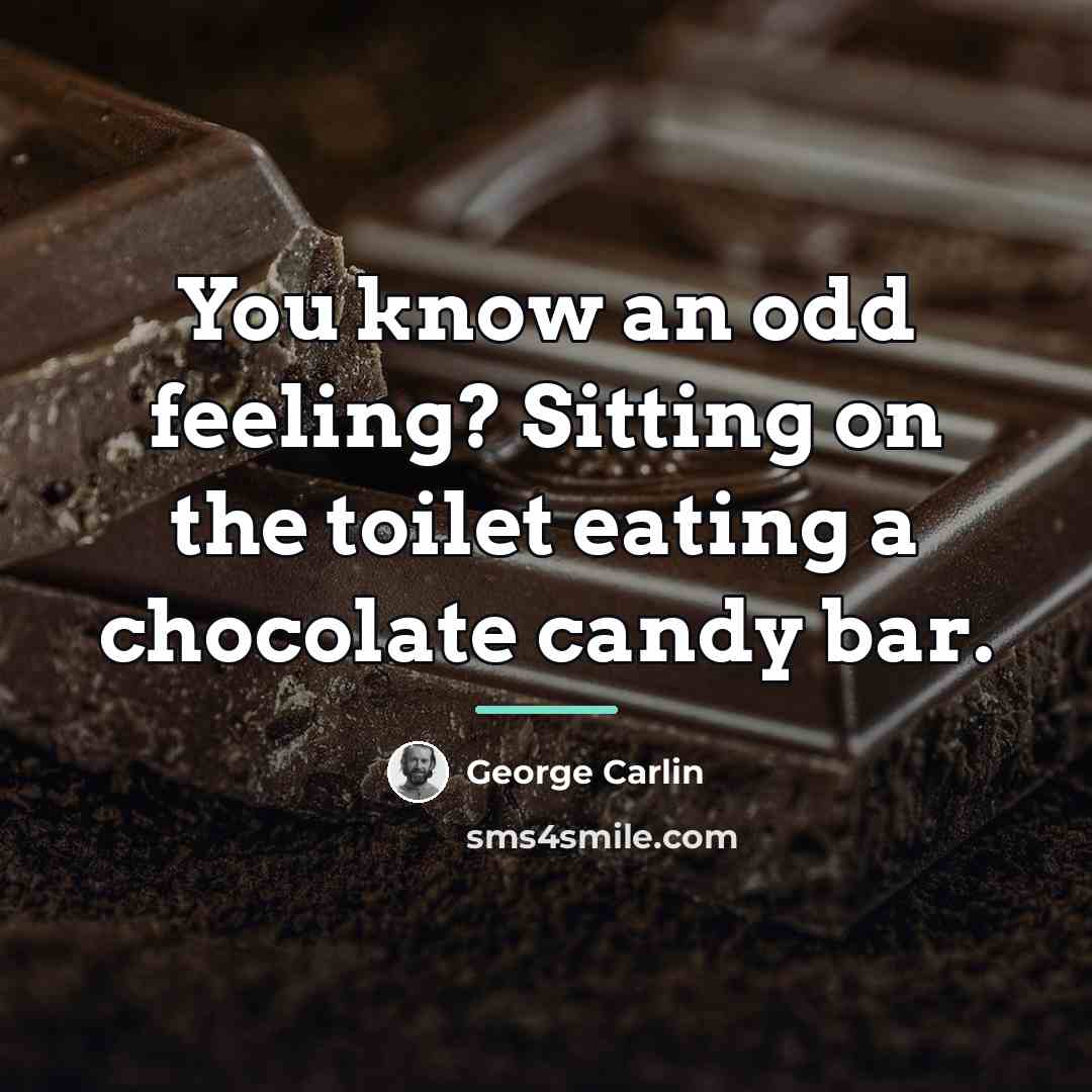 “You know an odd feeling? Sitting on the toilet eating…” quote by George Carlin