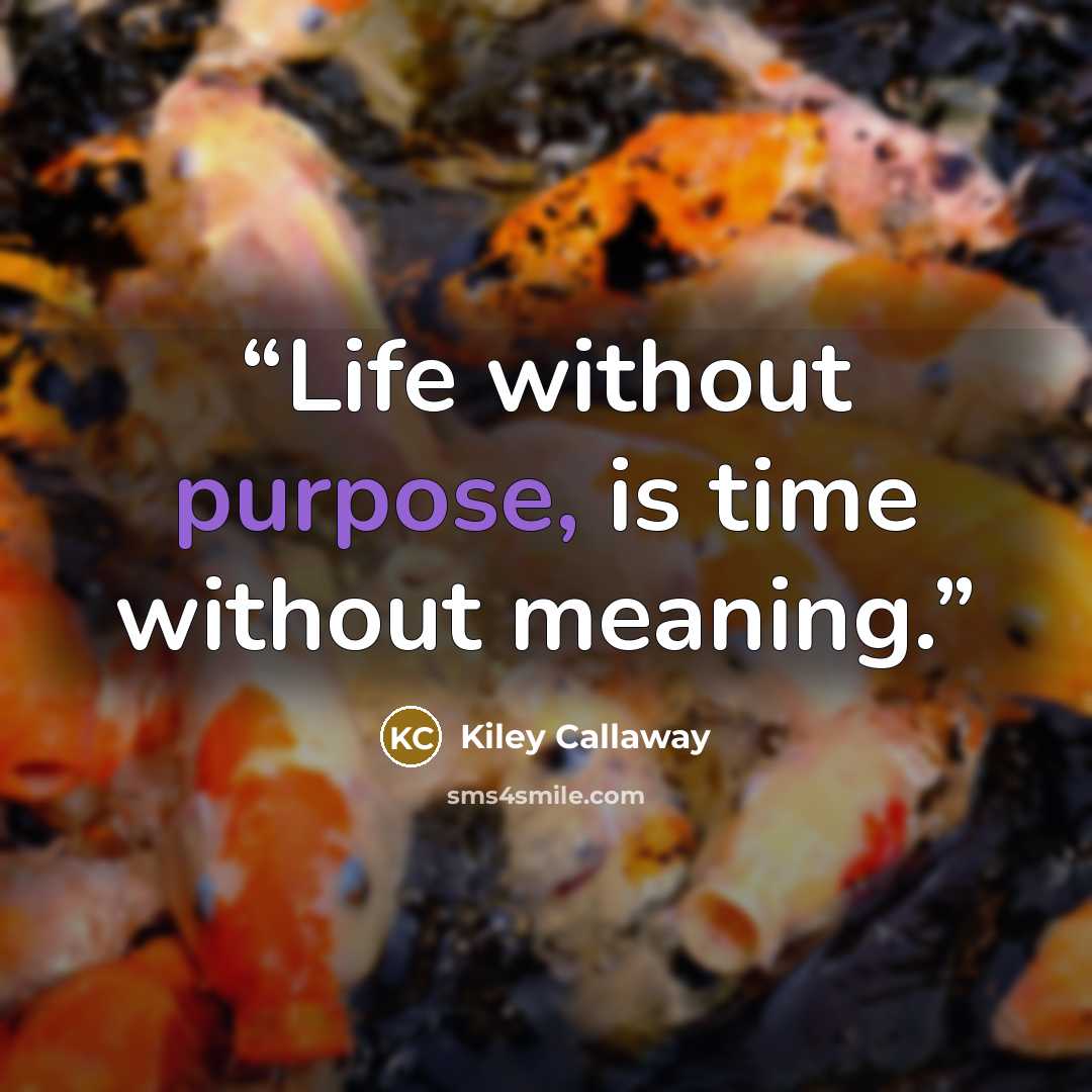 “Life without purpose, is time without meaning.” quote by Kiley Callaway