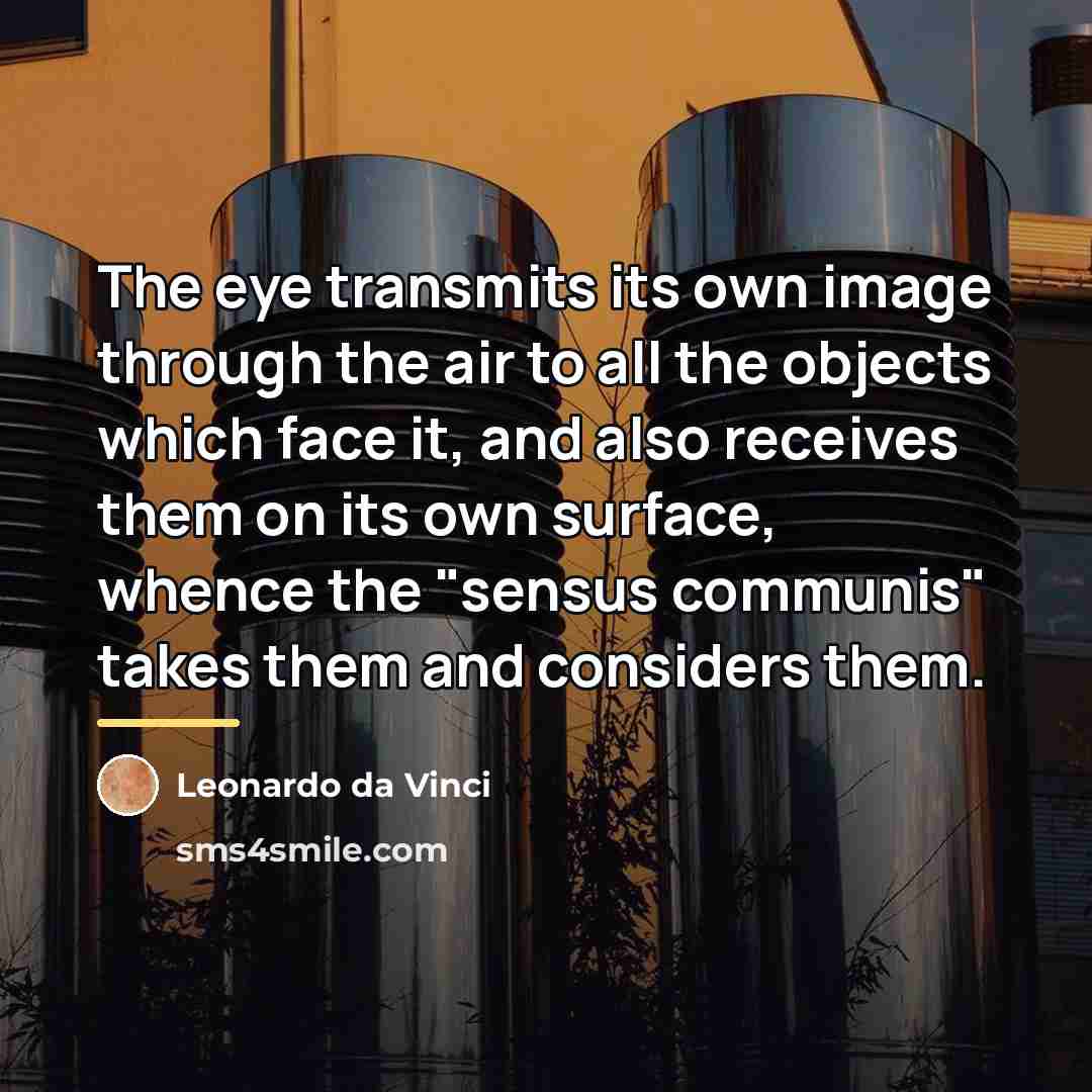 “The eye transmits its own image through the air to…” quote by Leonardo da Vinci