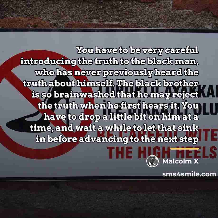 “You have to be very careful introducing the truth to…” quote by Malcolm X