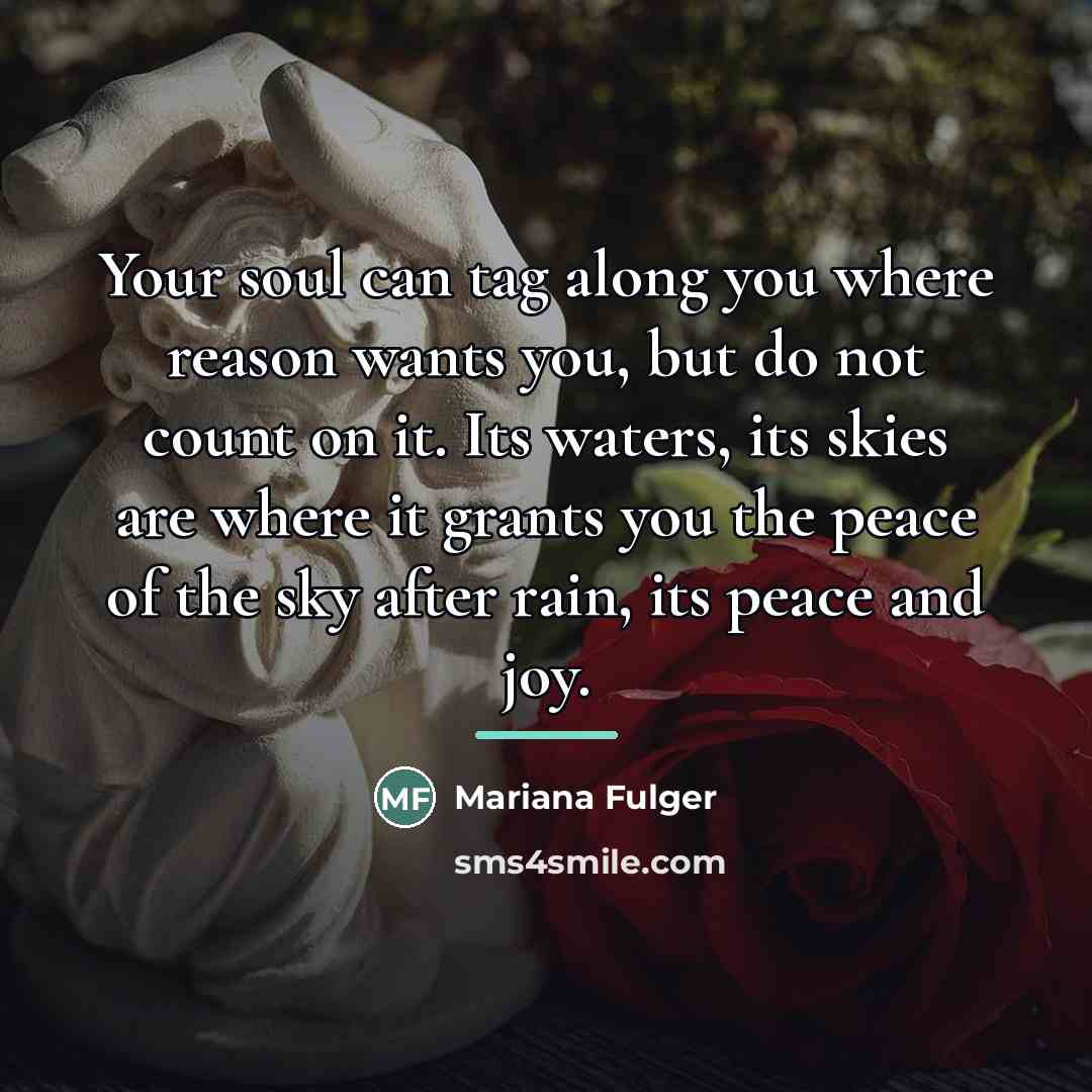 “Your soul can tag along you where reason wants you,…” quote by Mariana Fulger