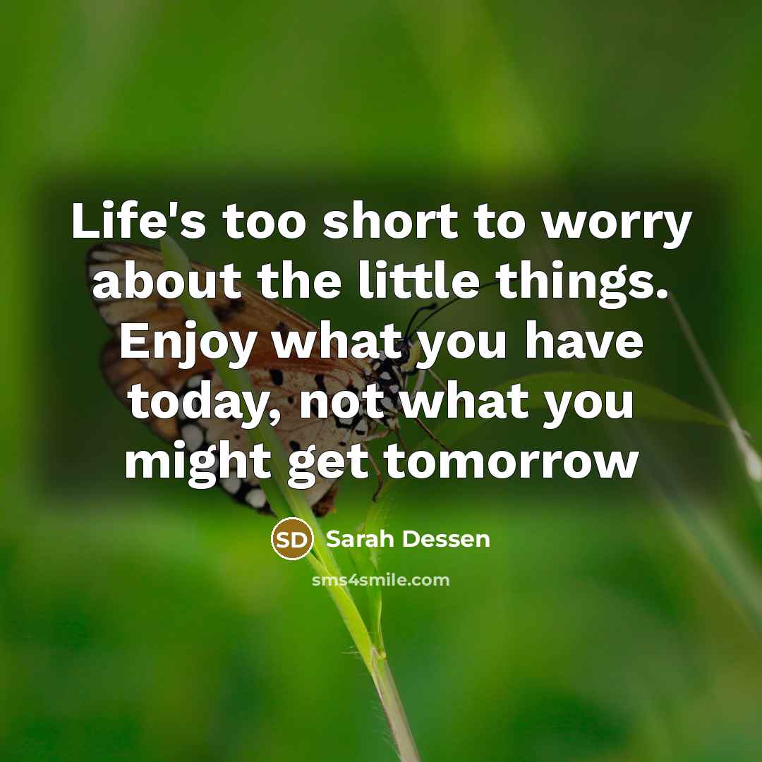 “Life's too short to worry about the little things. Enjoy…” quote by Sarah Dessen