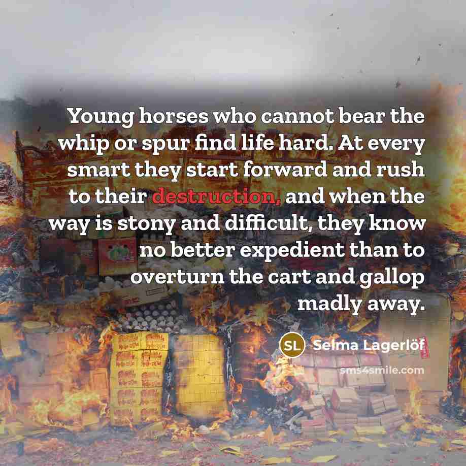 “Young horses who cannot bear the whip or spur find…” quote by Selma Lagerlöf