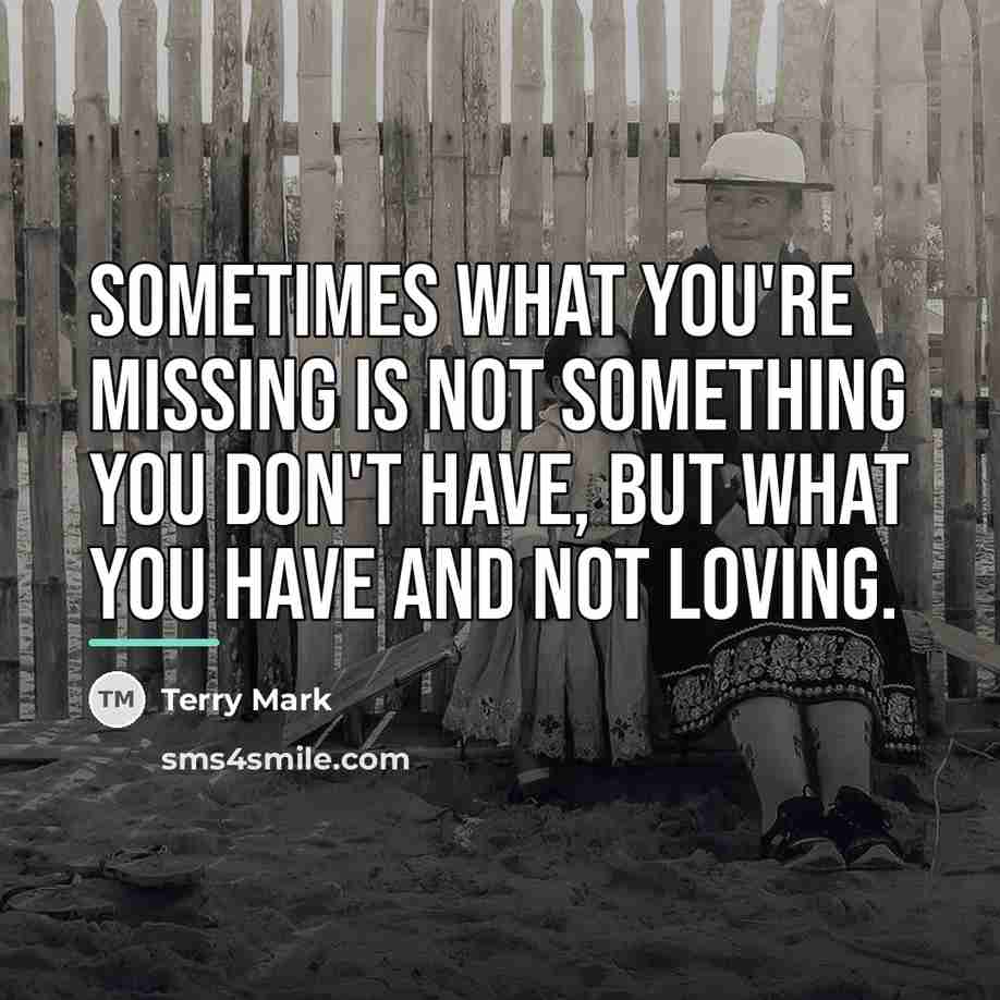 “Sometimes what you're missing is not something you don't have,…” quote by Terry Mark
