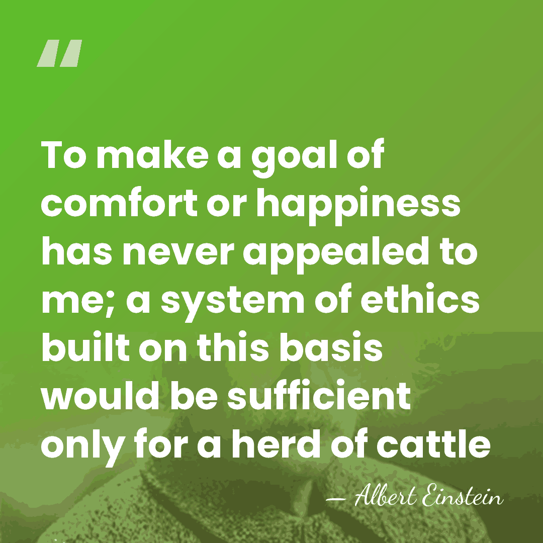 To make a goal of comfort or happiness has never appealed to&hellip; - Albert Einstein