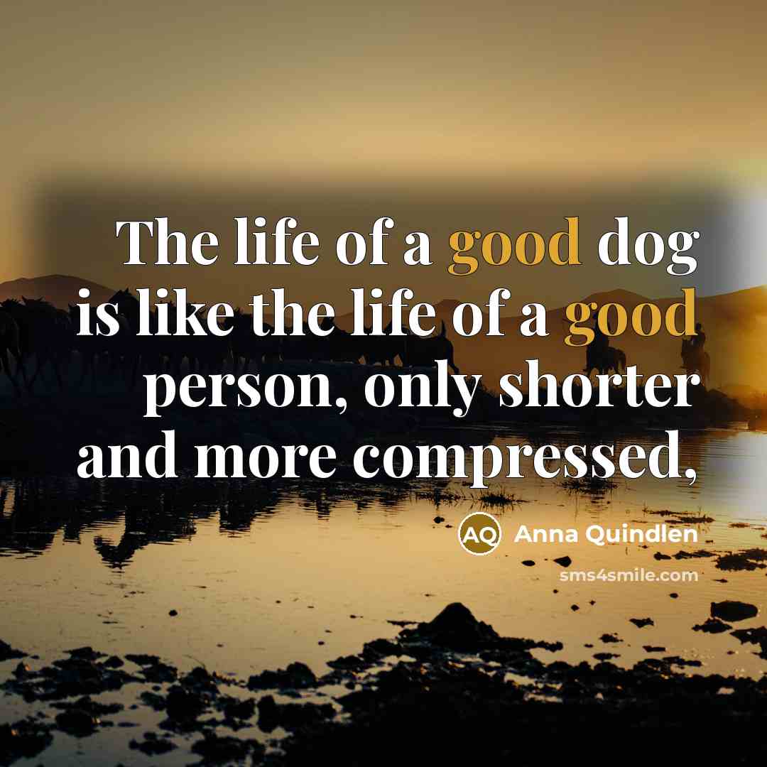 “The life of a good dog is like the life…” quote by Anna Quindlen