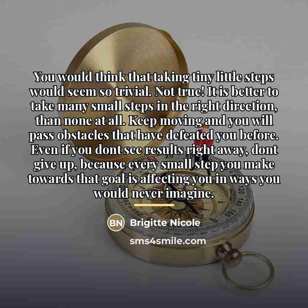 “You would think that taking tiny little steps would seem…” quote by Brigitte Nicole