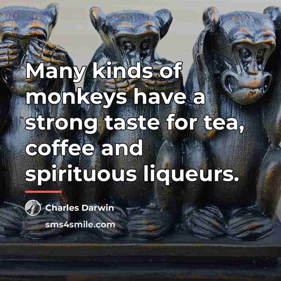 “Many kinds of monkeys have a strong taste for tea,…” quote by Charles Darwin