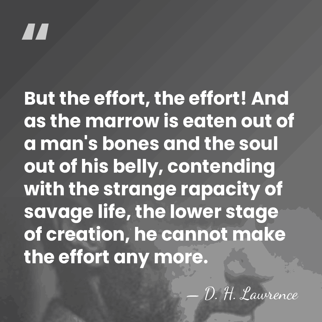 But the effort, the effort! And as the marrow is eaten out&hellip; - D. H. Lawrence