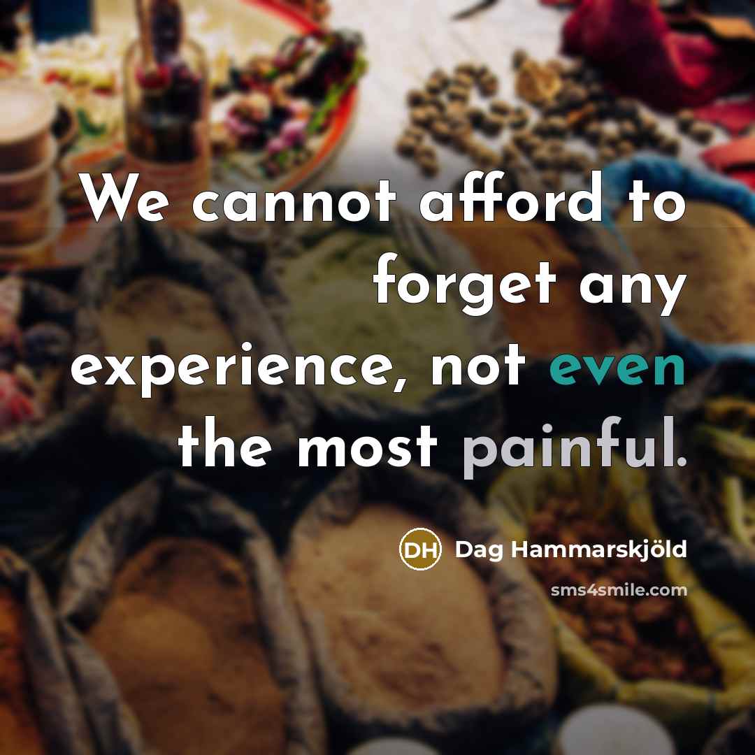 “We cannot afford to forget any experience, not even the most painful.” quote by Dag Hammarskjold