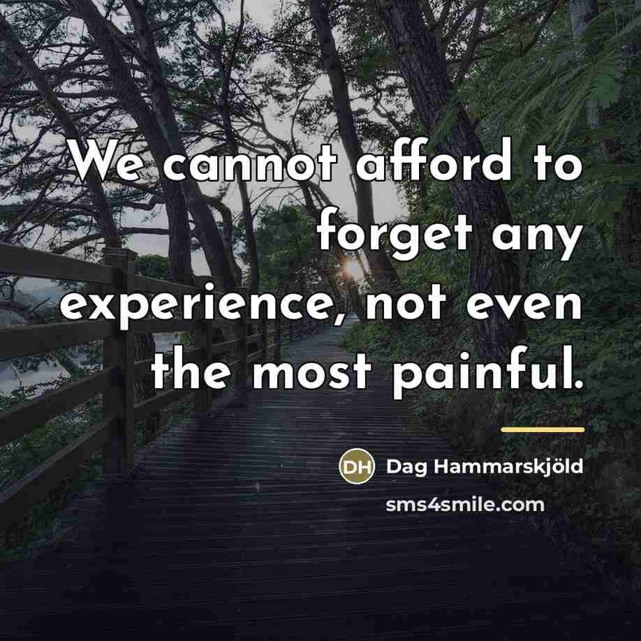“We cannot afford to forget any experience, not even the…” quote by Dag Hammarskjold