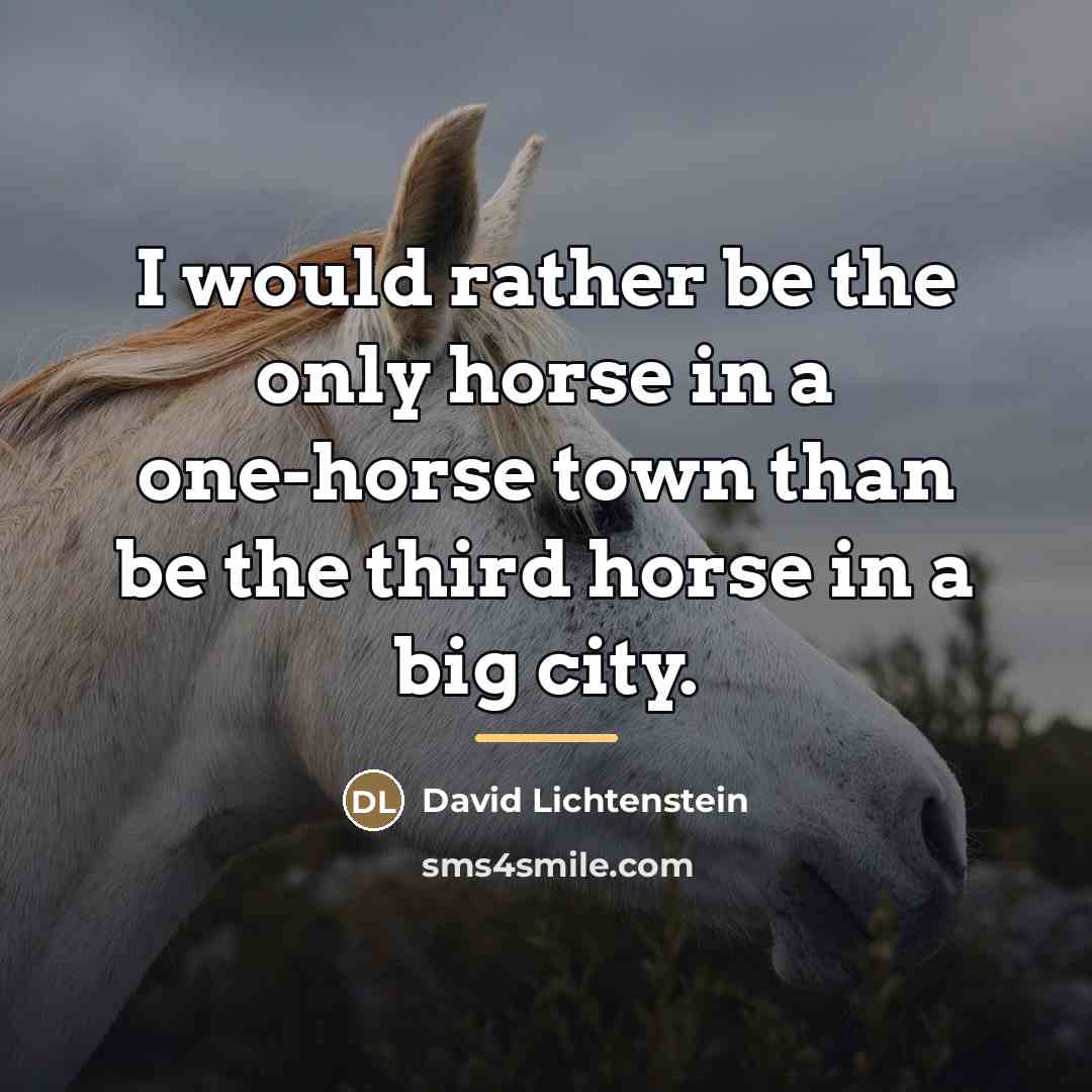“I would rather be the only horse in a one-horse…” quote by David Lichtenstein