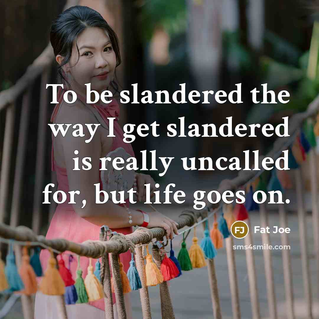 “To be slandered the way I get slandered is really…” quote by Fat Joe