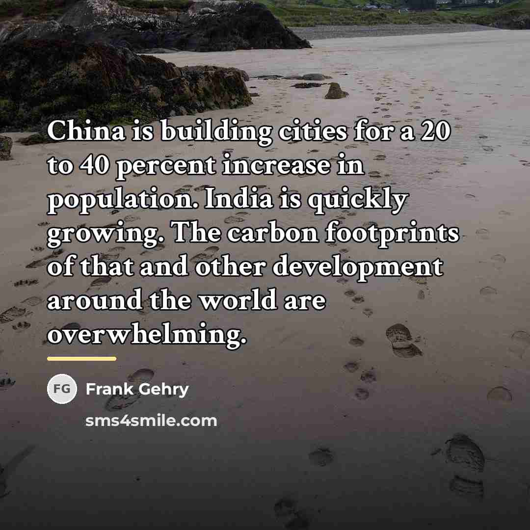 “China is building cities for a 20 to 40 percent…” quote by Frank Gehry