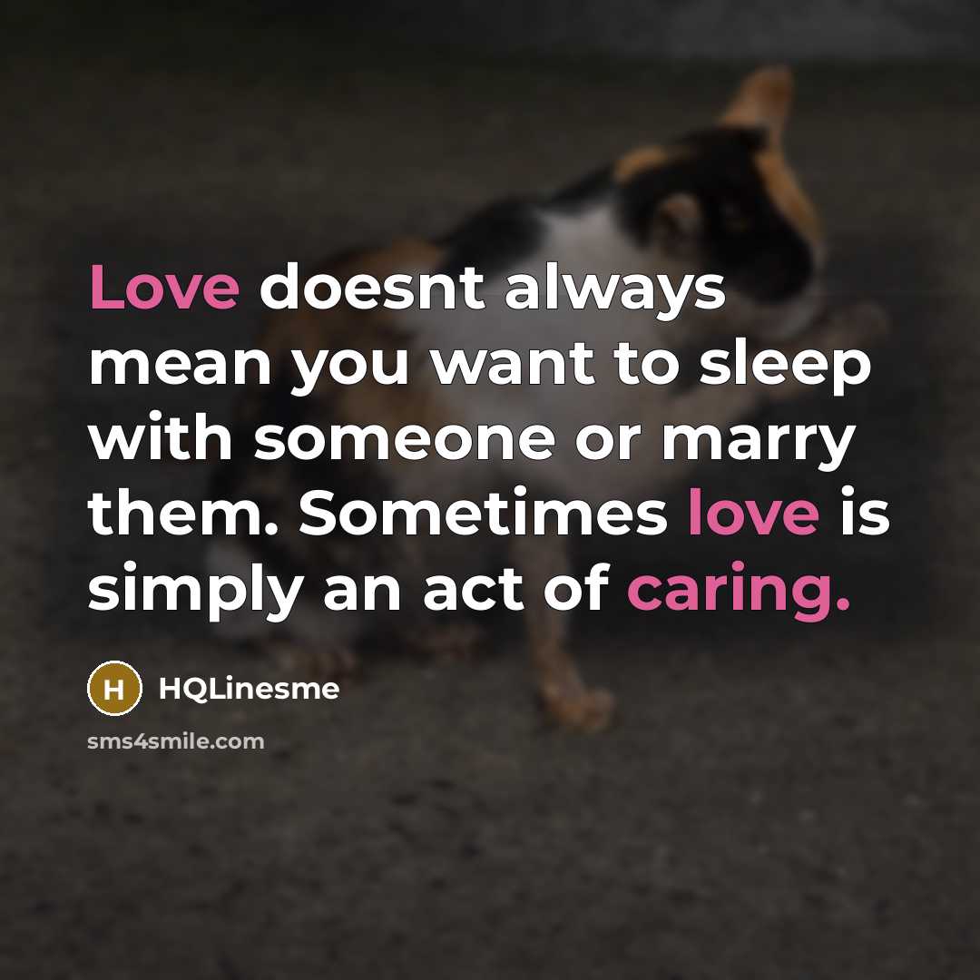 “Love doesnt always mean you want to sleep with someone…” quote by HQLinesme