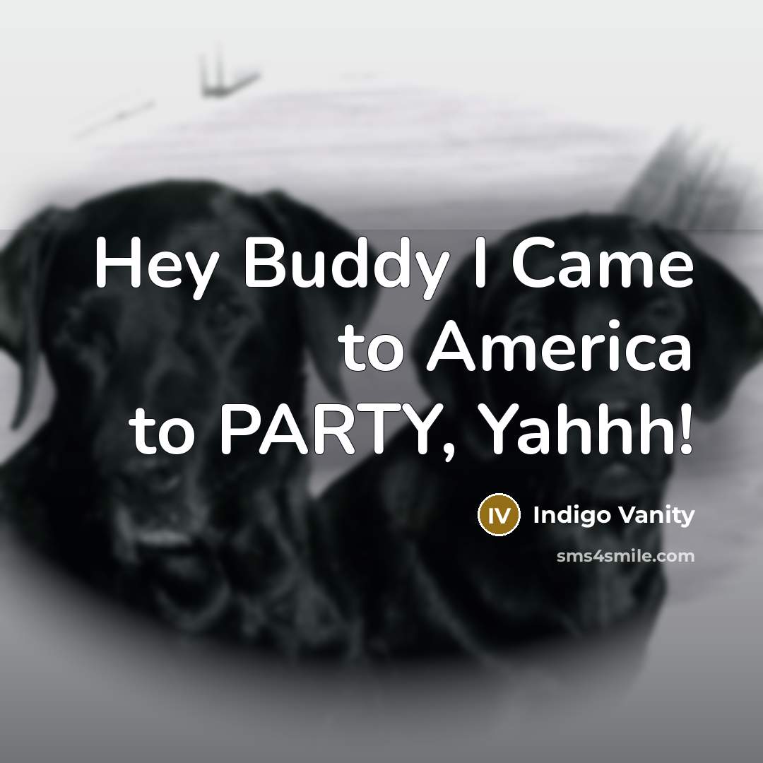 “Hey Buddy I Came to America to PARTY, Yahhh!…” quote by Indigo Vanity