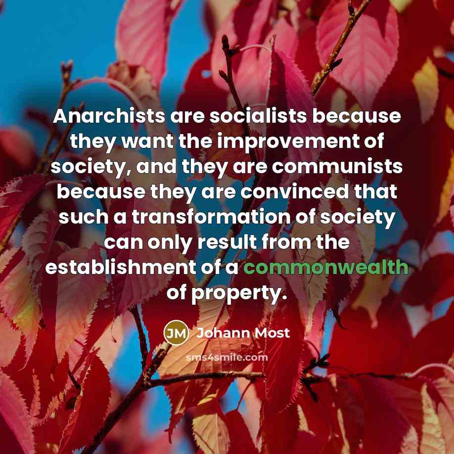 “Anarchists are socialists because they want the improvement of society,…” quote by Johann Most