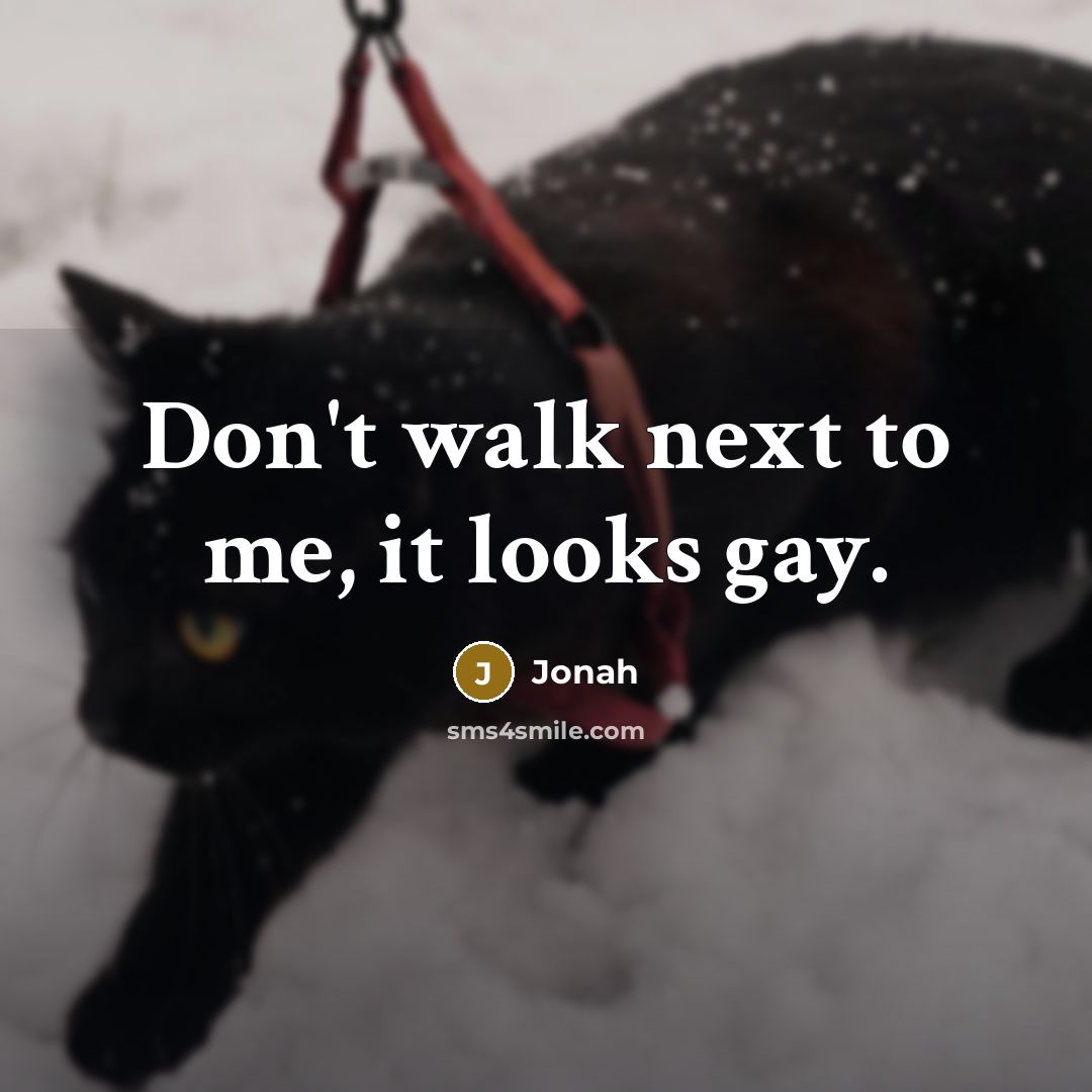 “Don't walk next to me, it looks gay.…” quote by Jonah