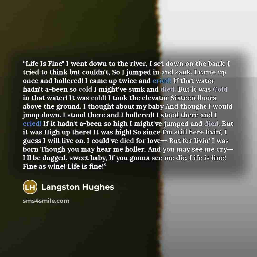 “Life Is Fine" I went down to the river, I set down on the bank. I tried to think but couldn't, So I jumped in and sank. I came up once and hollered! I came up twice and cried! If that water hadn't a-been so cold I might've sunk and died. But it was Cold in that water! It was cold! I took the…” quote by Langston Hughes