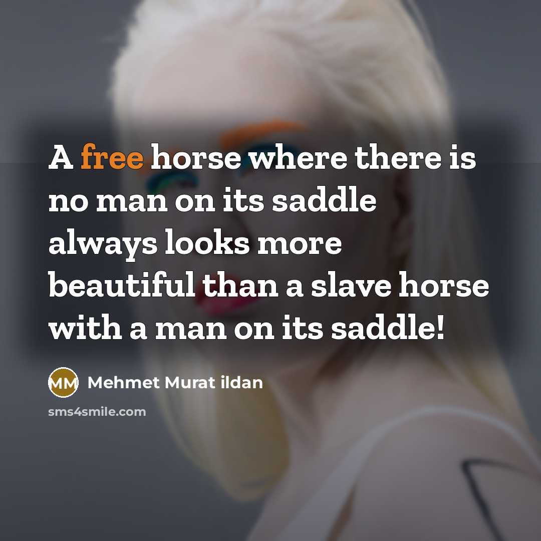 “A free horse where there is no man on its…” quote by Mehmet Murat Ildan
