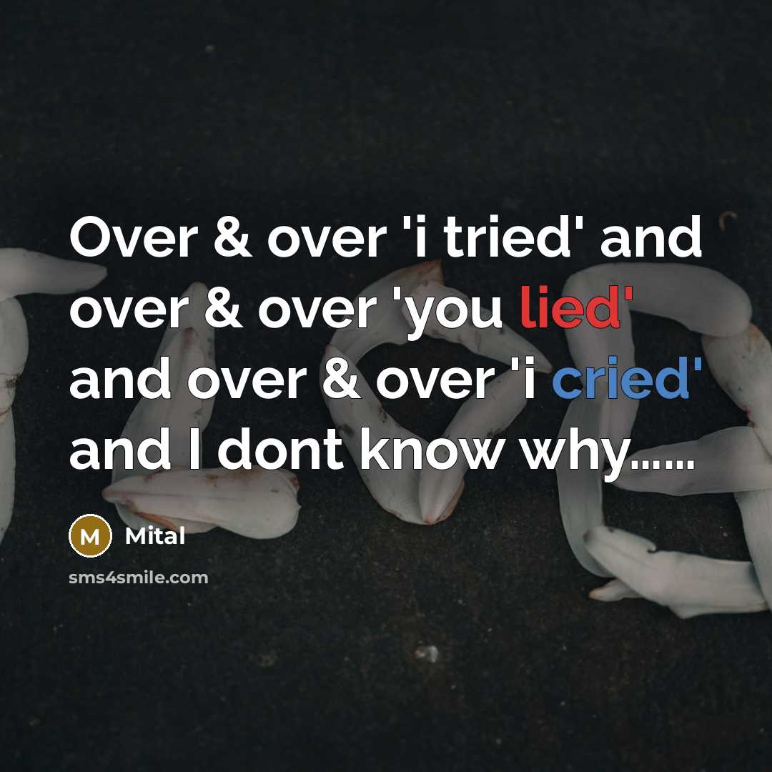 “Over & over 'i tried' and over & over 'you lied' and over & over 'i cried' and I dont know why……” quote by Mital
