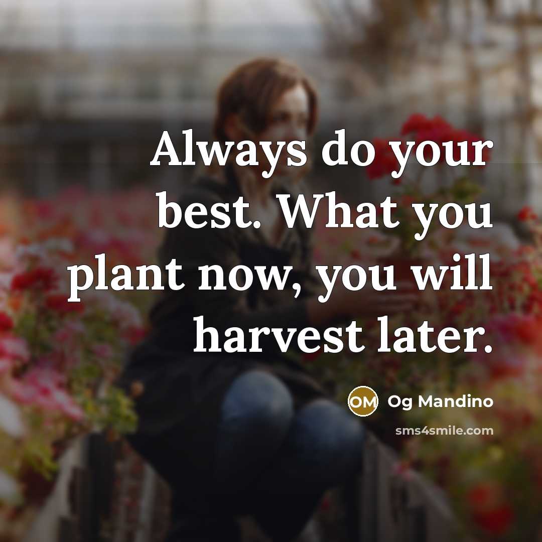 “Always do your best. What you plant now, you will…” quote by Og Mandino