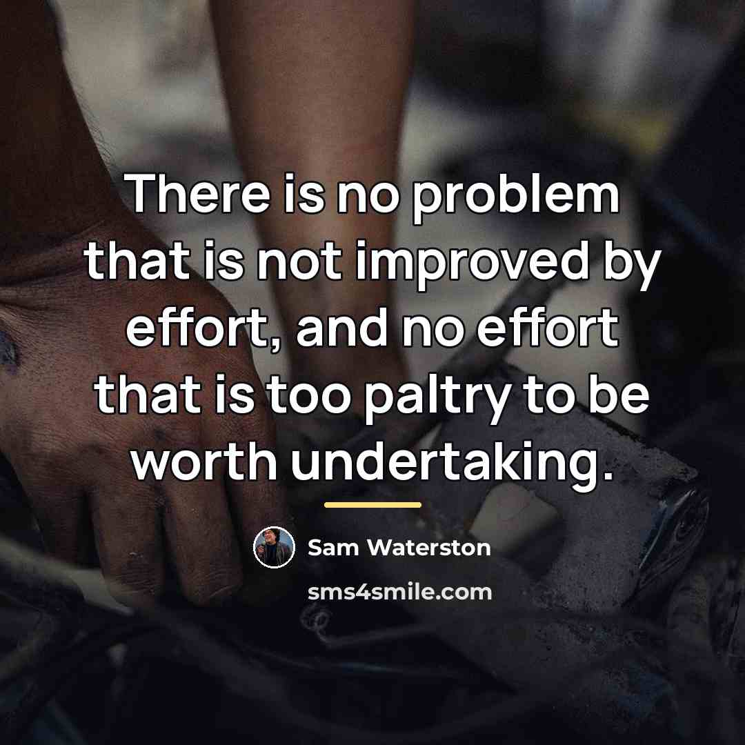 “There is no problem that is not improved by effort,…” quote by Sam Waterston