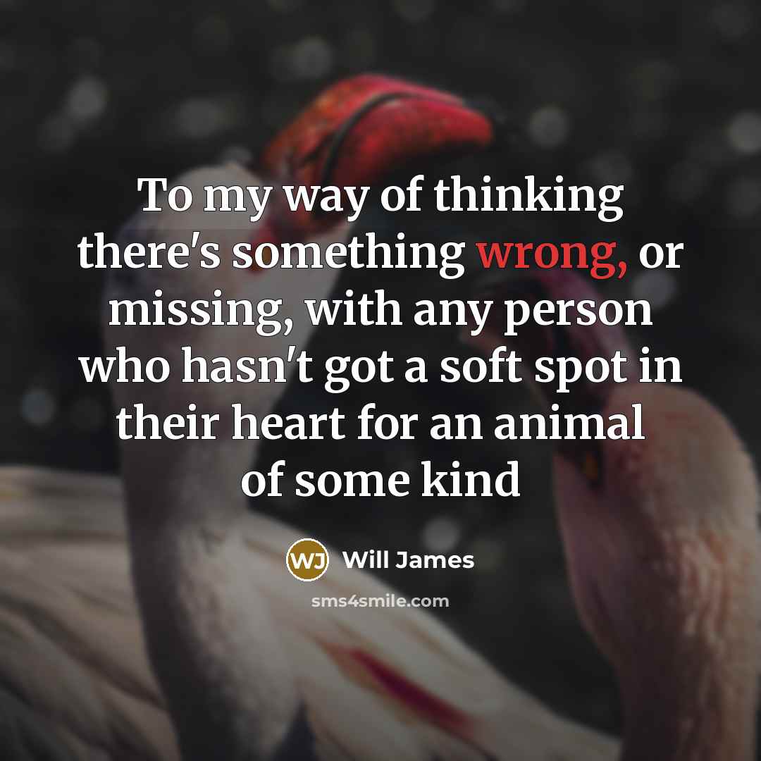 “To my way of thinking there's something wrong, or missing,…” quote by Will James