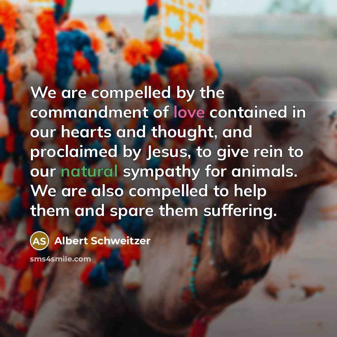 “We are compelled by the commandment of love contained in…” quote by Albert Schweitzer