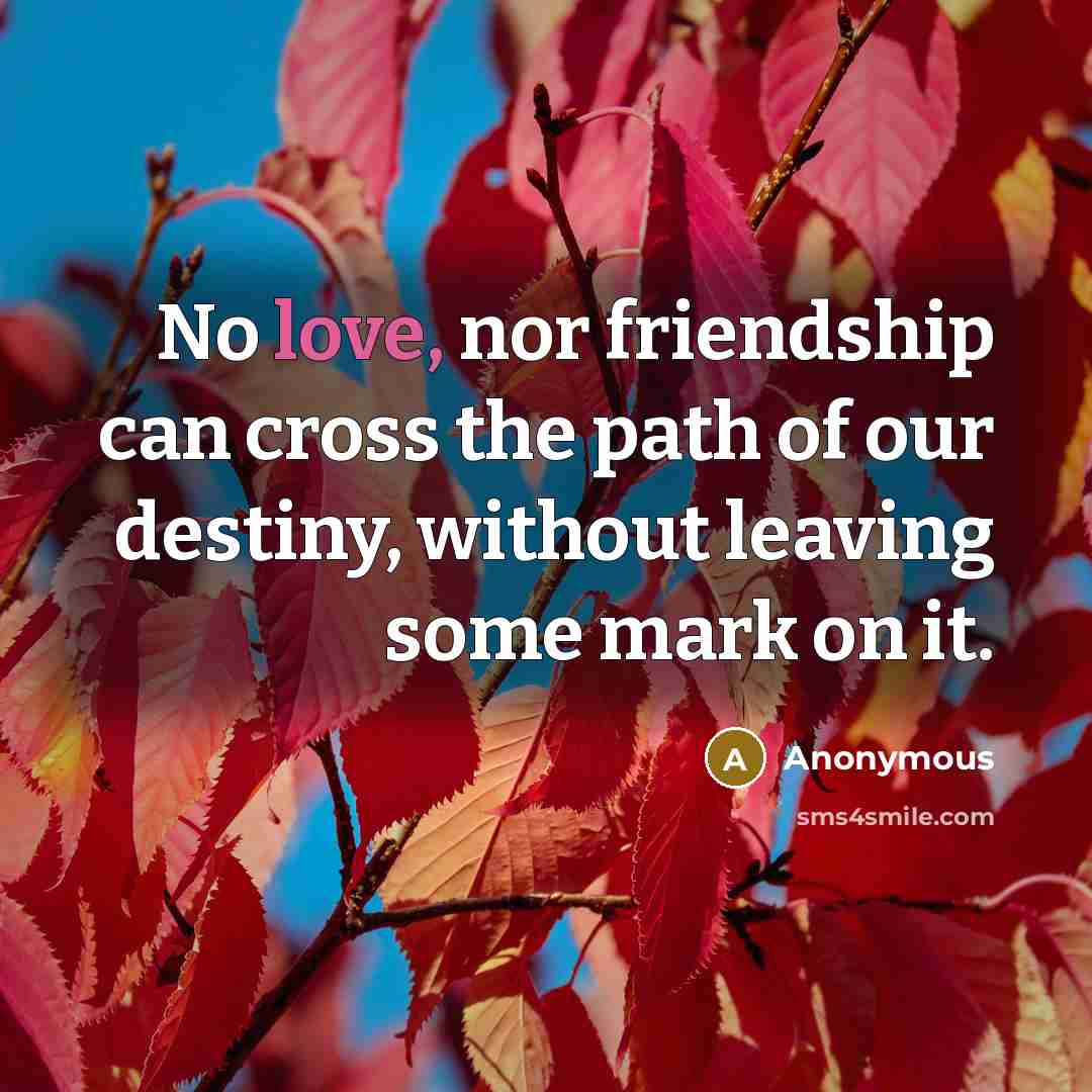 “No love, nor friendship can cross the path of our…” quote by Anonymous