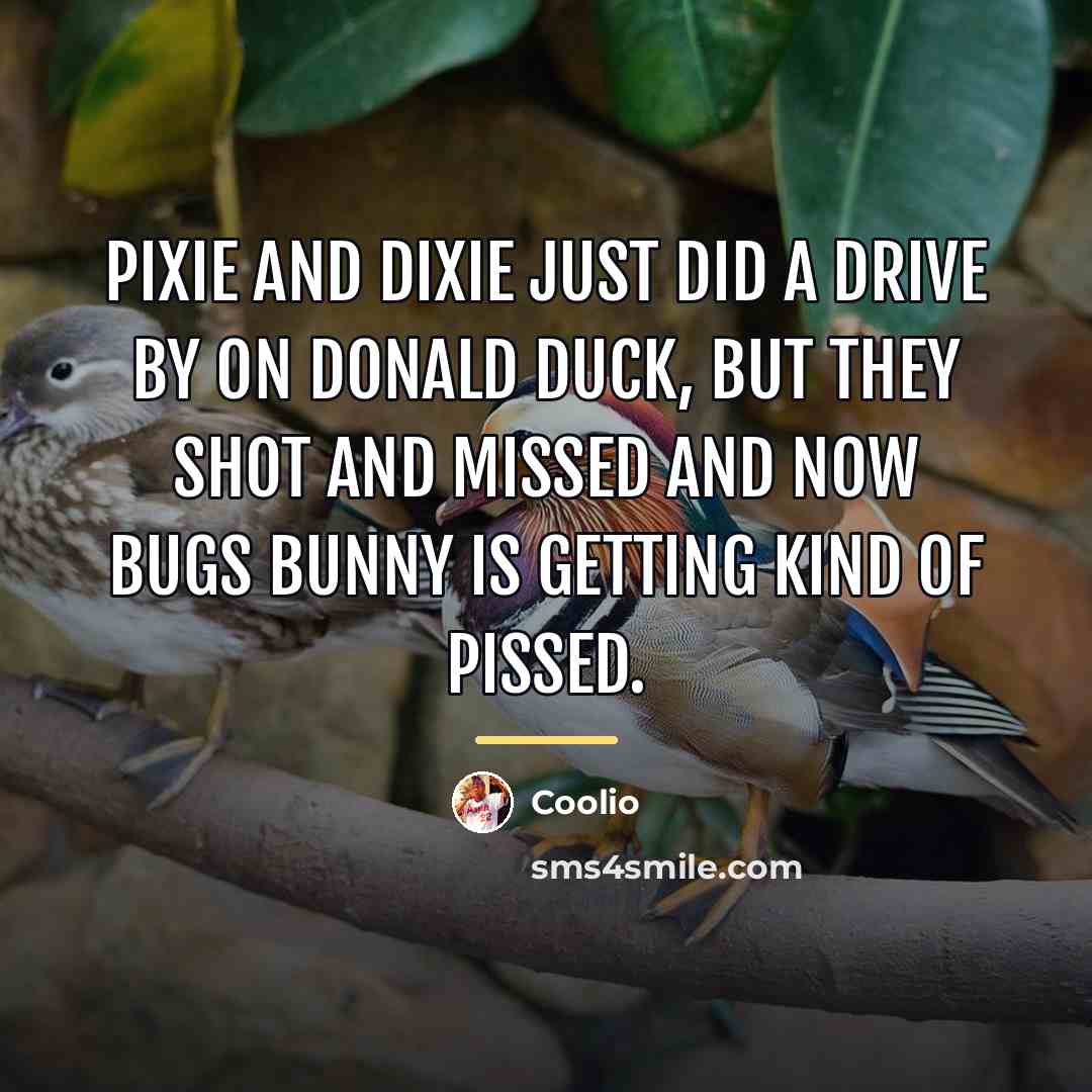 “Pixie and Dixie just did a drive by on Donald…” quote by Coolio