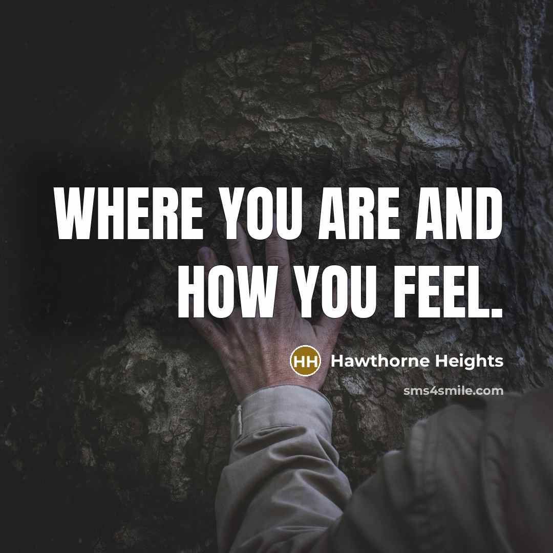 “Where you are and how you feel.” quote by Hawthorne Heights