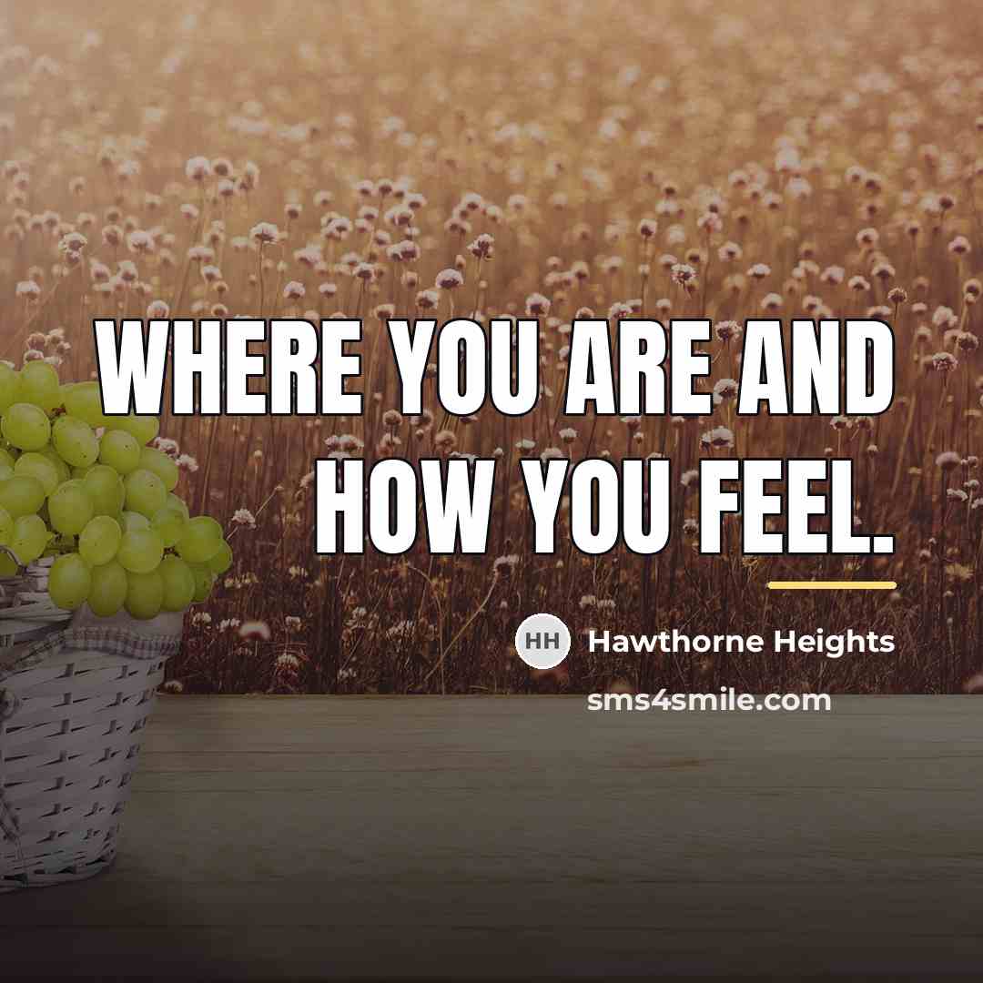 “Where you are and how you feel.…” quote by Hawthorne Heights