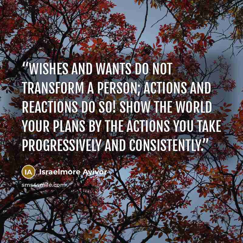“Wishes and wants do not transform a person; actions and reactions do so! Show the world your plans by the actions you take progressively and consistently.” quote by Israelmore Ayivor